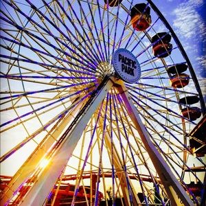 Meet your Posher, Daisy